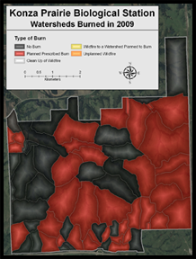 Burn Map Example
